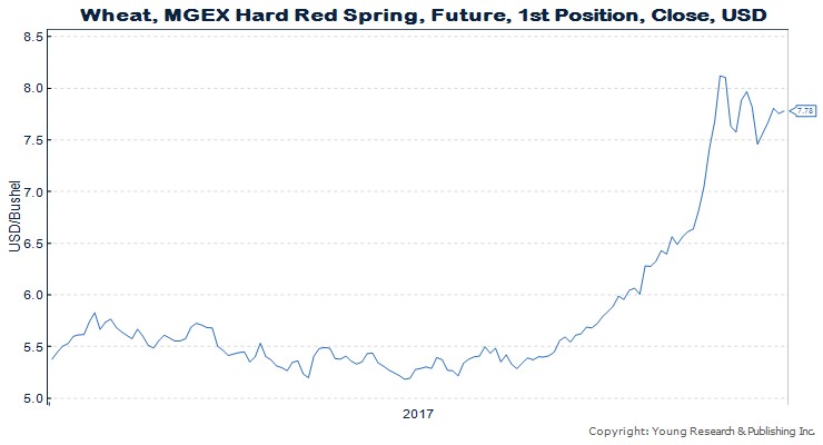 How to trade wheat options