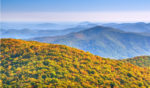 It’s Simple: Retirees Go Where They are Treated Best