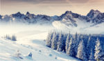 Vanguard GNMA and a Winter of Political Polarization