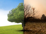 Dead or Alive? The Future of Long-Term Investing: Part II