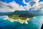 Californians Desperate to Escape: Look for the Island Life
