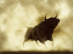 The Bull Raids are Wreaking Havoc on Wall Street