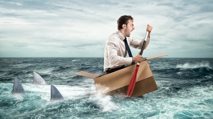 Fidelity #1: GameStop and NEVER Selling You Out