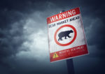 Is the Market Bracing for a Correction?