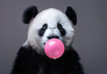 A Bubble Is Forming in China’s Bond Market