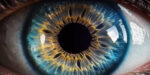 Previously Unknown Eye Cells May Reverse Vision Loss