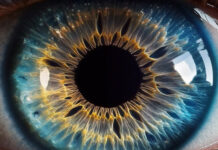 Previously Unknown Eye Cells May Reverse Vision Loss