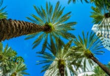 DeSantis Pushes Bold Plan to Slash Florida Property Taxes