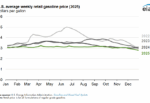 US Gasoline Prices Fall Steeply in 2025