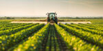 USDA WASDE Report Shows Stable Crop Outlook for March 2026