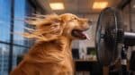 UK Heatwave Fuels Debate Over Air Conditioning in Homes