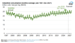 US Gas Consumption Projected to Reach Record Highs by 2027